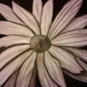 Meet your Posher, Janine